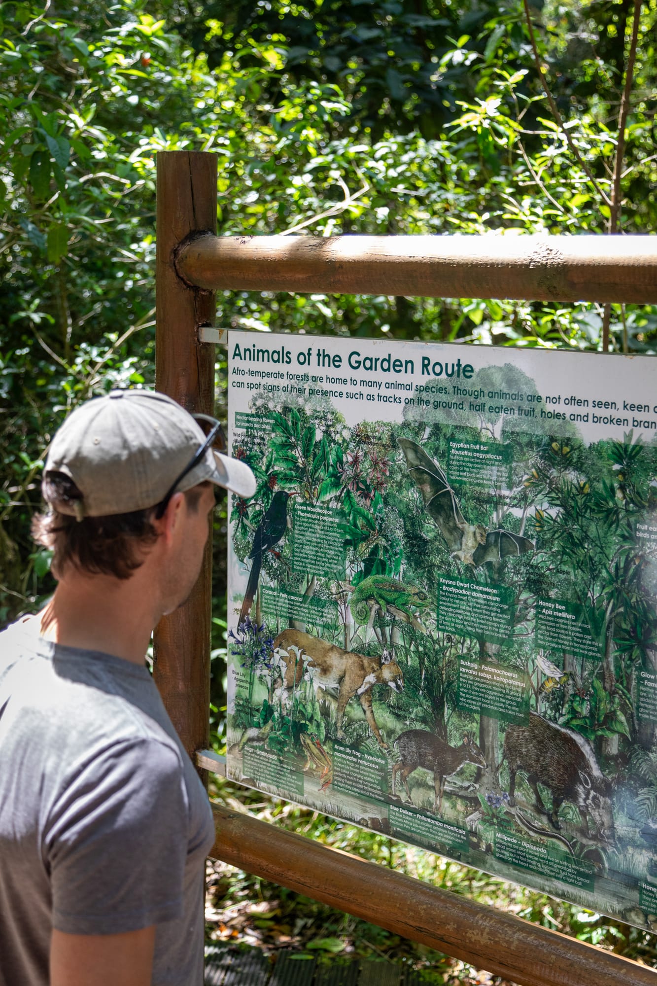 Nature trails